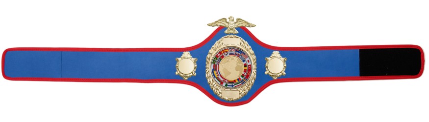 CHAMPIONSHIP BELT PRO288/G/FLAGG - AVAILABLE IN 10 COLOURS CHAMPIONSHIP BELT PRO288/G/FLAGG - AVAILABLE IN 10 COLOURS